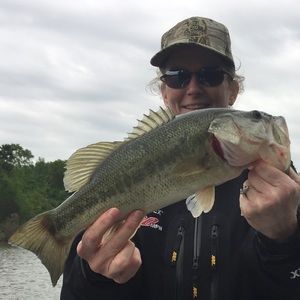 Meet your Posher, Brandy